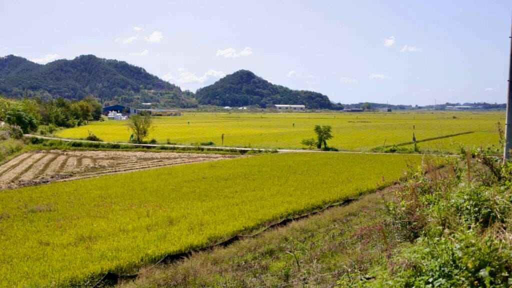 farm infrastructure