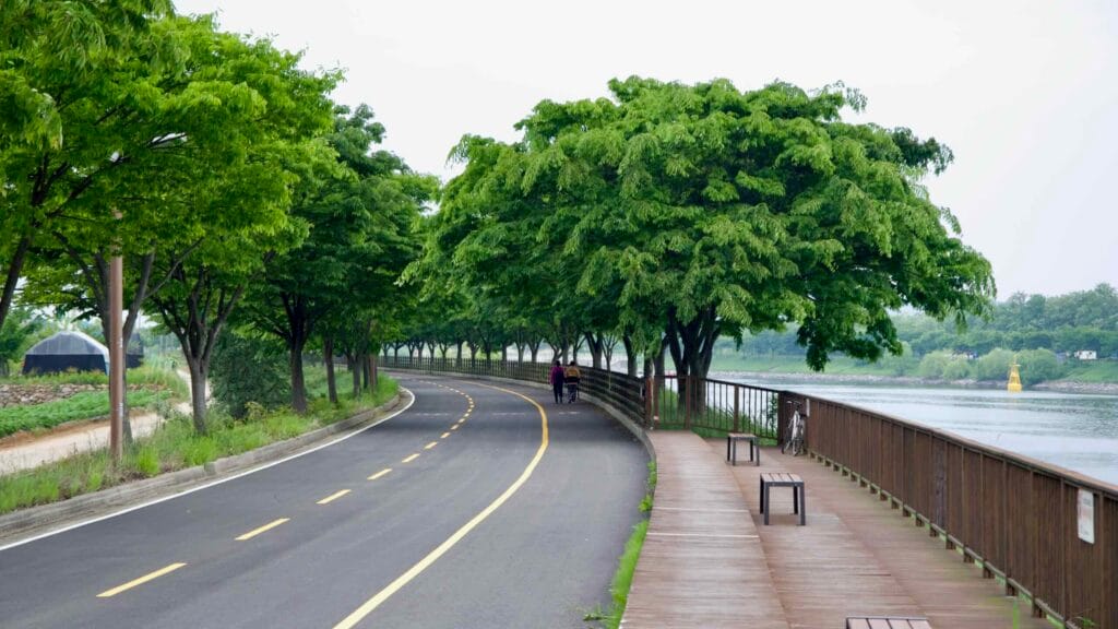 Ara Waterway