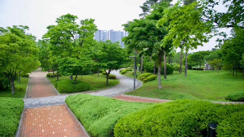 Ara Waterway