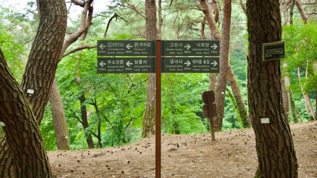 map point