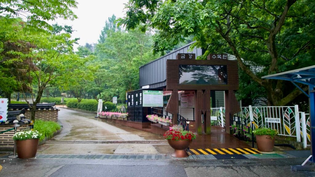 rainy
