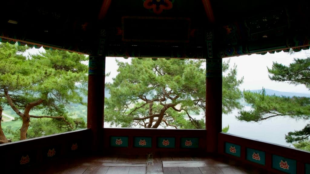 window view