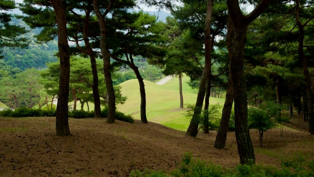 grove