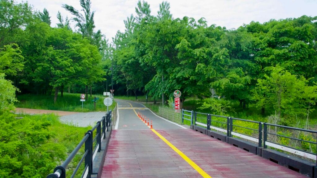 foliage path
