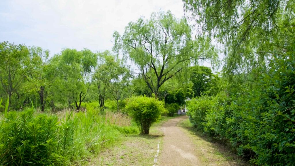 outdoor destination