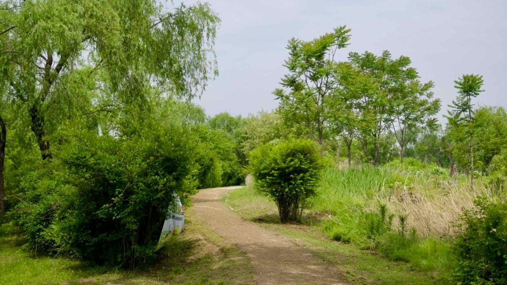 wetlands