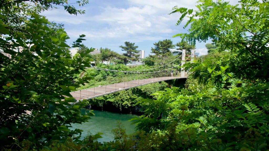 Yongyeon Cloud Bridge spans green water, framed by summer foliage.