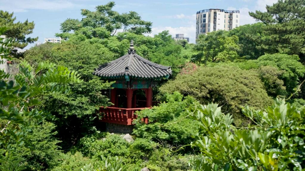 Traditional pavilion among trees at Yongdam Park, Jeju City.