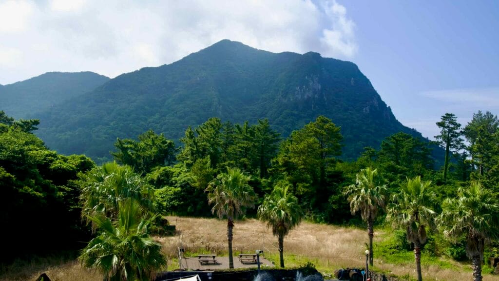 Sanbang Mountain’s dome-shaped massif rises above farmland, palms, and pines on Jeju’s south coast.