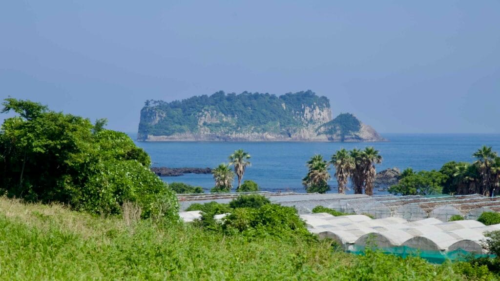 Beomseom stands offshore beyond palms and farm greenhouses on Seogwipo’s coast.