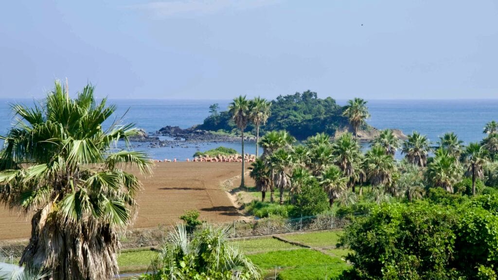 Fields and palms frame a small cove opposite Beomseom on Jeju’s southern coast.