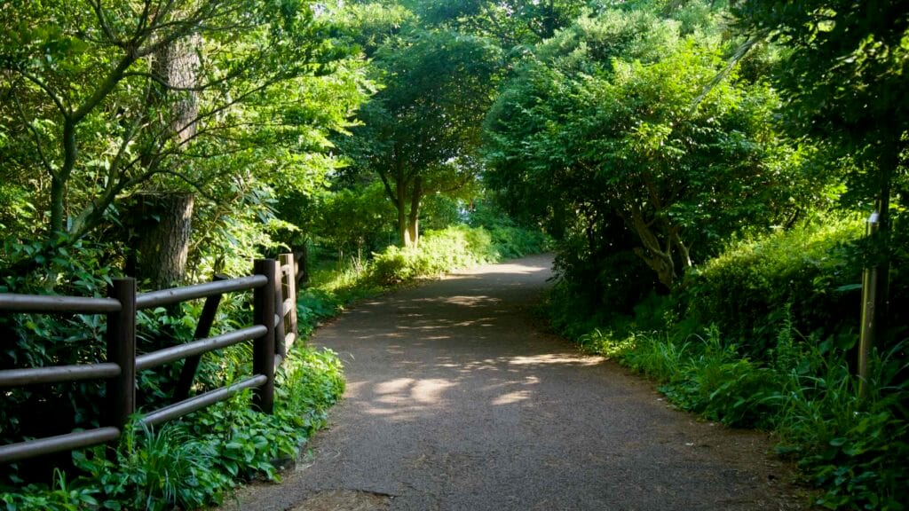 A shaded trail leads through greenery toward the Oedolgae Rock viewpoint.