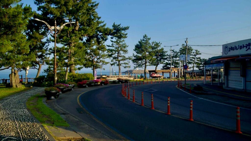 A quiet seaside road curves past trees and planters toward the waterfront at Soesokkak.