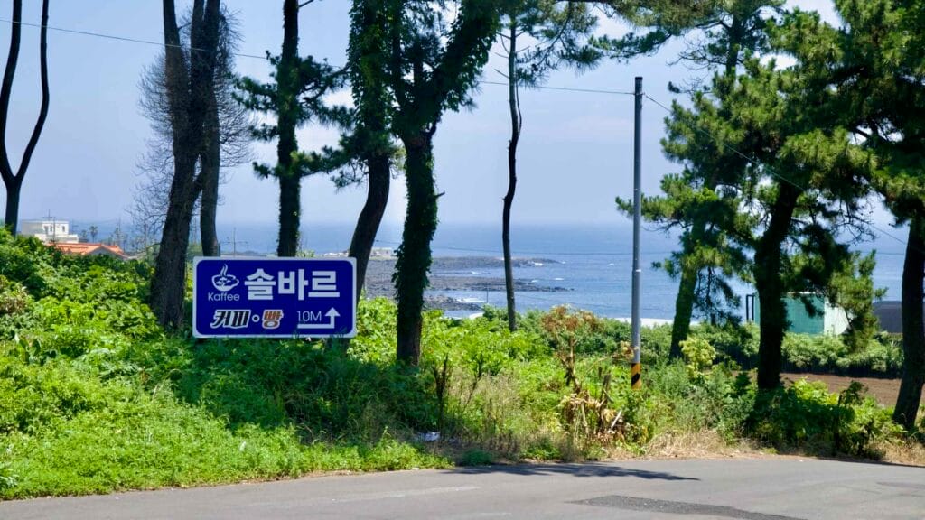 A café sign points 10 meters toward the shore as the coast appears through pines near Iljudong Road.