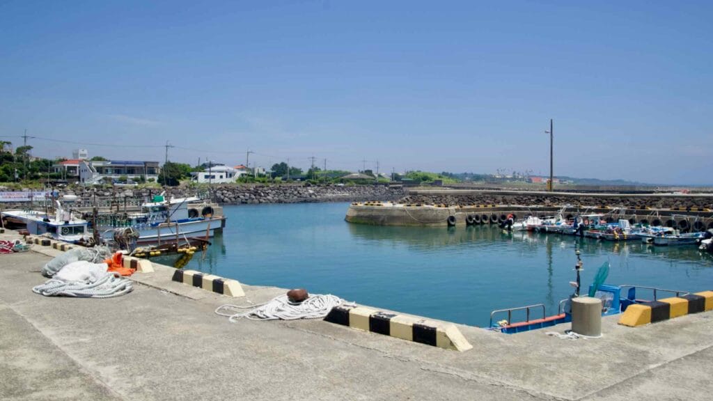 Fishing boats and gear fill a calm east‑coast harbor protected by concrete breakwaters.