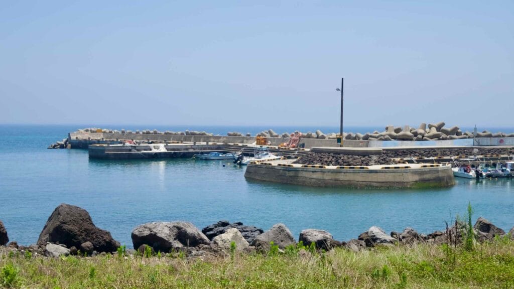 Concrete breakwaters and tetrapods ring a small port with moored boats and calm water.