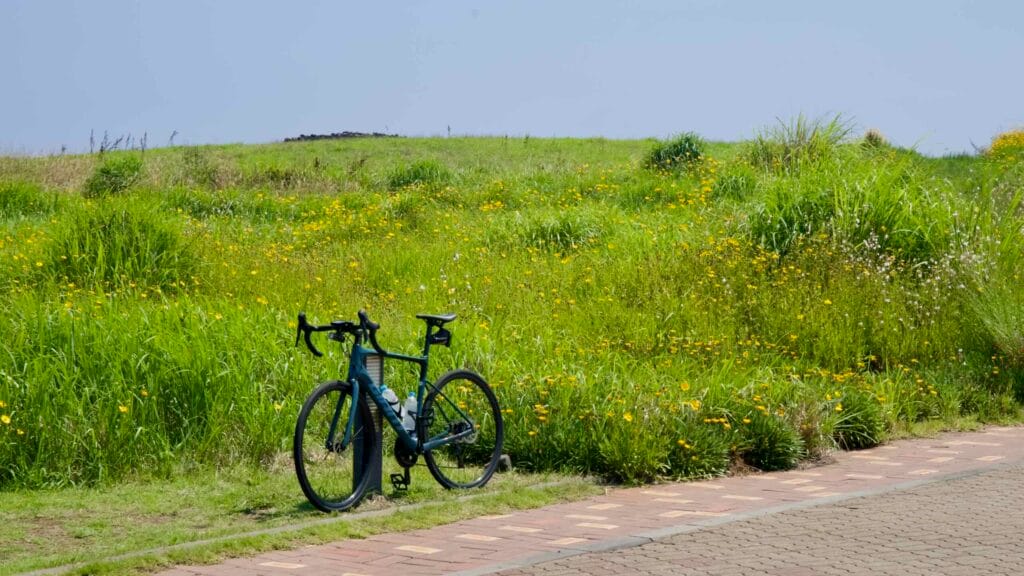 A road bike rests beside wildflowers along the Seopjikoji promenade.