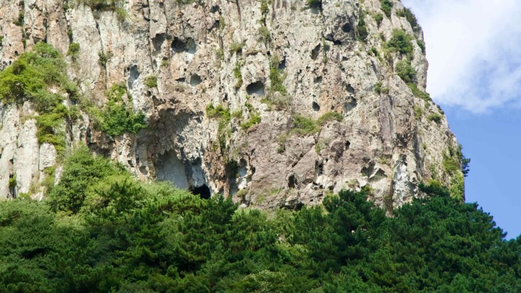 Cliff caves on Sanbangsan above Jeju’s forested coast.