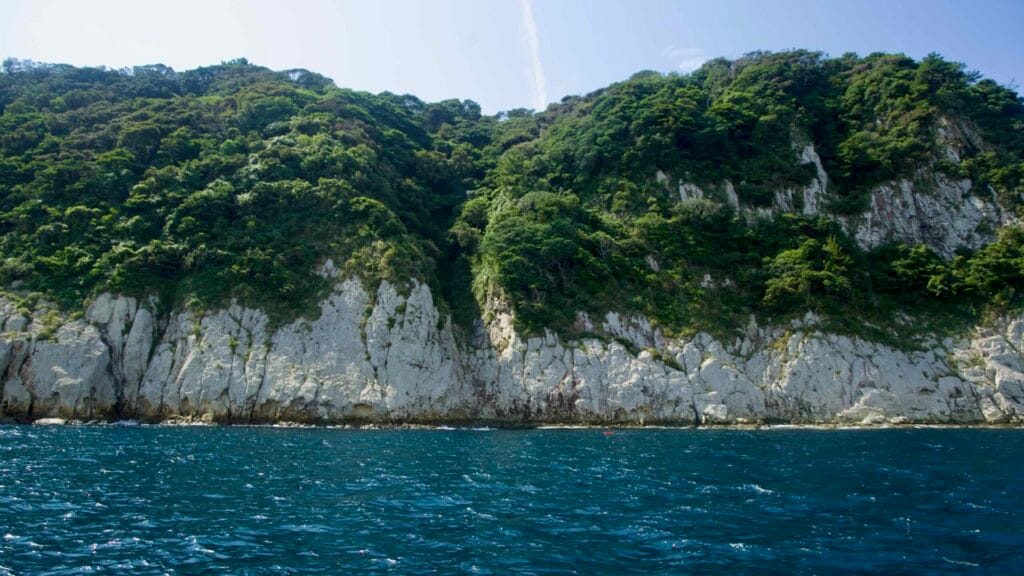 Coastal forest drapes over white volcanic cliffs on Munseom.