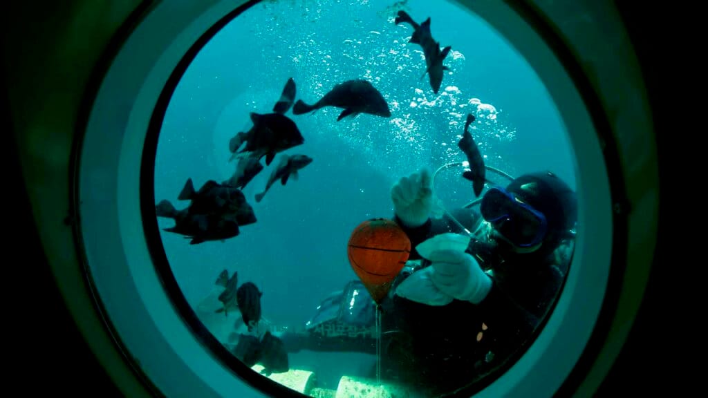 A scuba diver approaches the viewing port of the Seogwipo Submarine near Munseom Island.