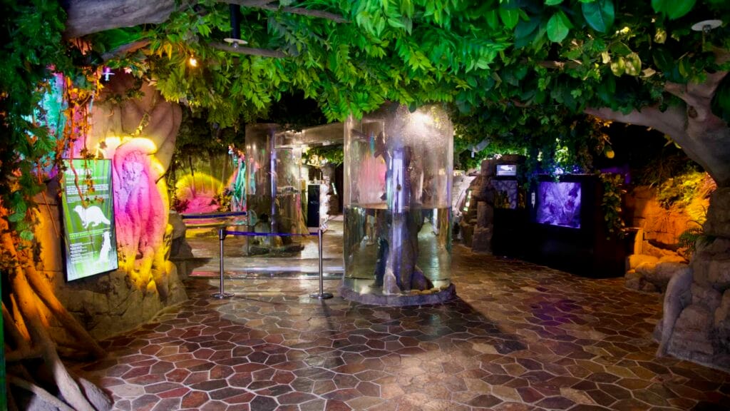 A jungle‑themed corridor leads through freshwater exhibits at Aqua Planet Jeju.