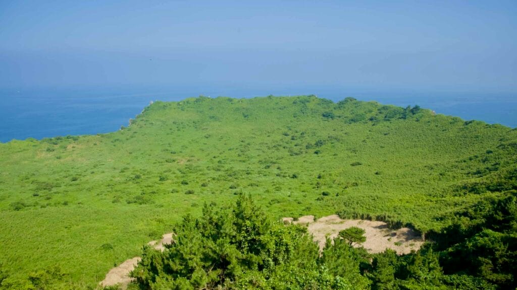 A grass-filled volcanic crater spreads below the scenic viewpoint at Seongsan Ilchulbong.