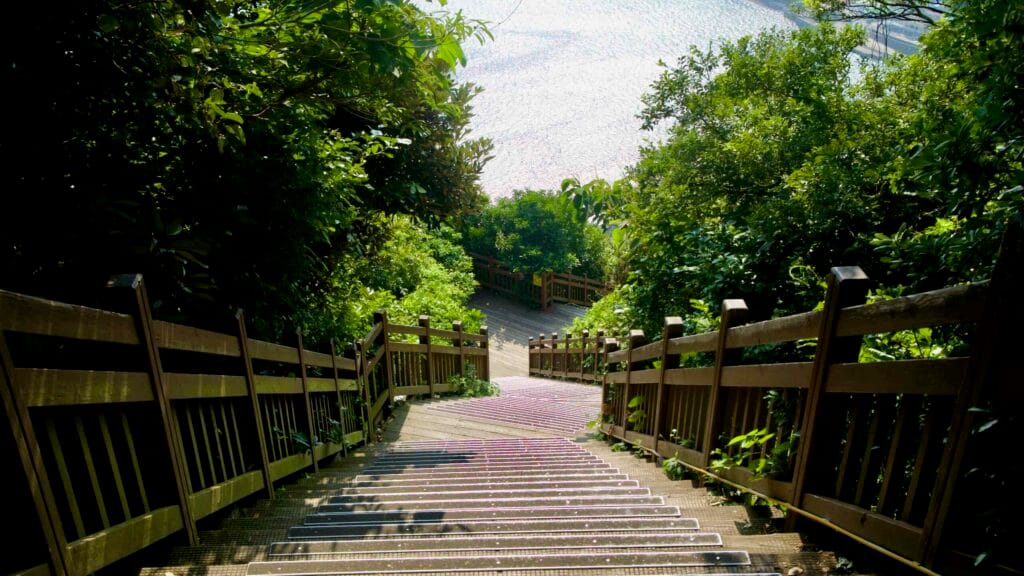 Long stair flights wind through forest on Seongsan Ilchulbong.