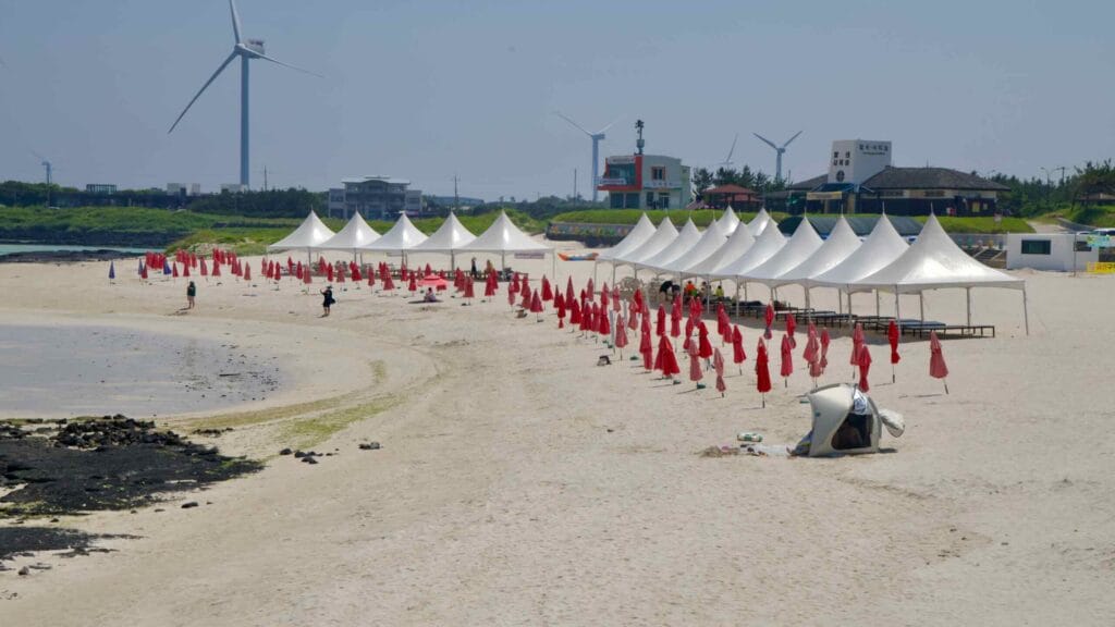 A long row of canopies and red umbrellas lines the curving sands at Gimnyeong.