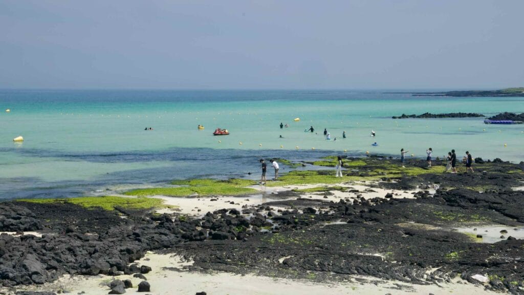 Visitors wade across basalt tidal flats in the lagoon at Gimnyeong Seongsegi Beach.