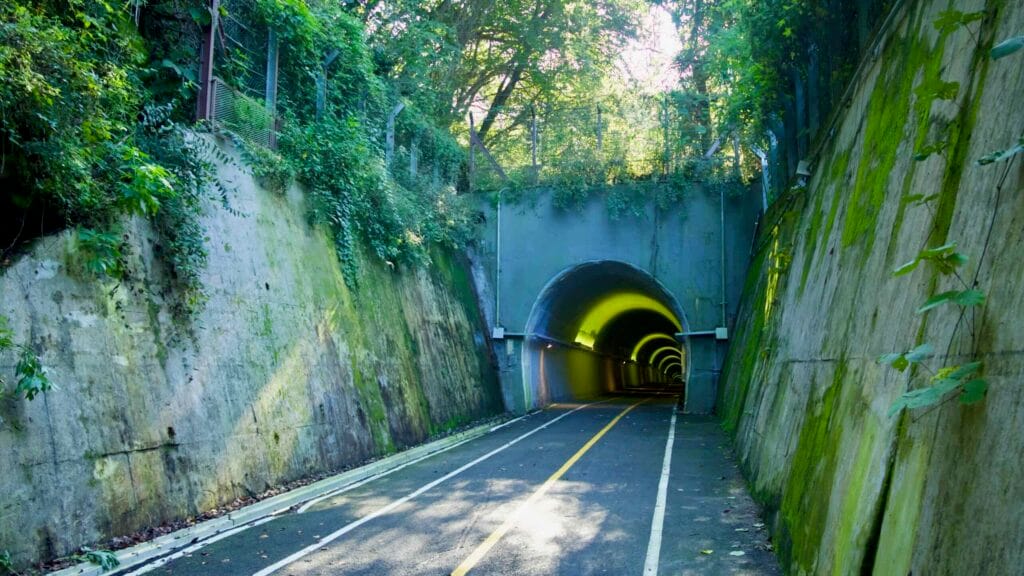 Ivy and moss cover steep retaining walls at Saekhyeon Tunnel’s entrance on the Bukhangang Bike Path.
