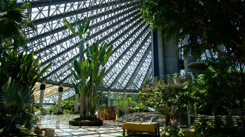 Yeomiji’s grand atrium features tropical plants, stepped seating, and event tables.