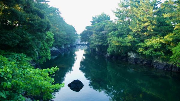 Trees reflect in the calm green water of the Soesokkak gorge.