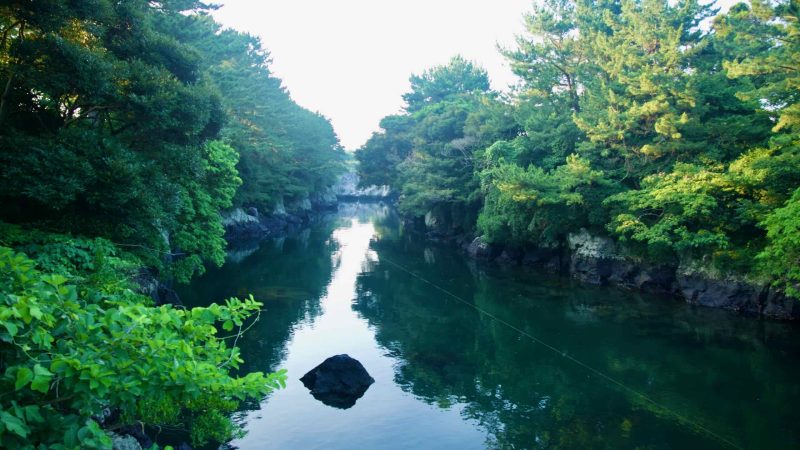 Trees reflect in the calm green water of the Soesokkak gorge.