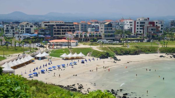From Seoubong’s ridge, tents and umbrellas line Hamdeok Beach with city blocks beyond.