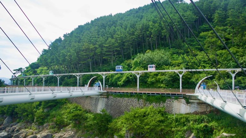 Sky‑capsule cars glide above a coastal walkway and bridge at Cheongsapo.