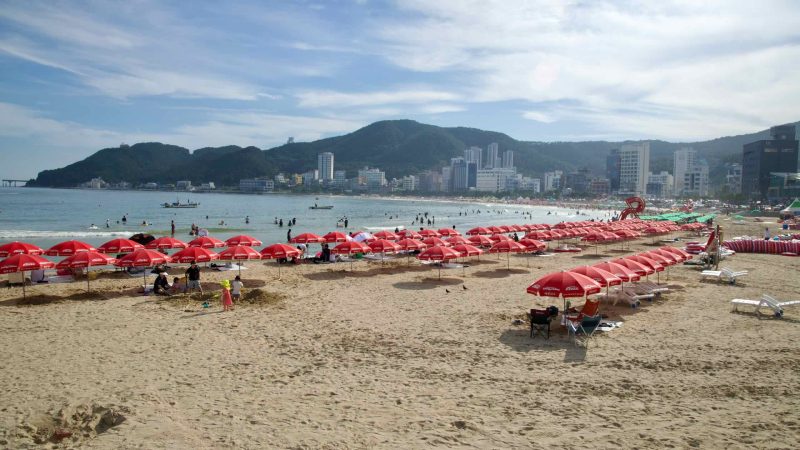 Long lines of rental parasols stretch along the sand at Songjeong Beach while swimmers dot the bay beneath a bright…