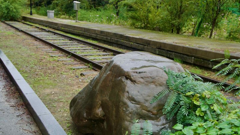 Retired tracks and a mossy platform stretch past Buljeong Station.