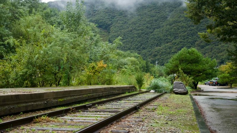 Retired tracks and a mossy platform sit at Buljeong Station in mountain mist.