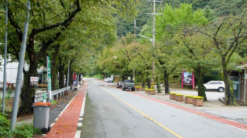 A tree-lined street with a red bike lane passes near Buljeong Station.