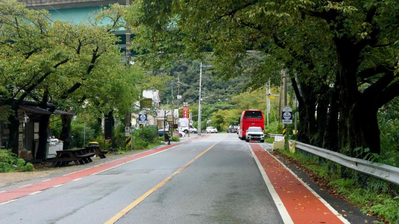 A tree-lined village road with red bike lanes runs beneath a high overpass.