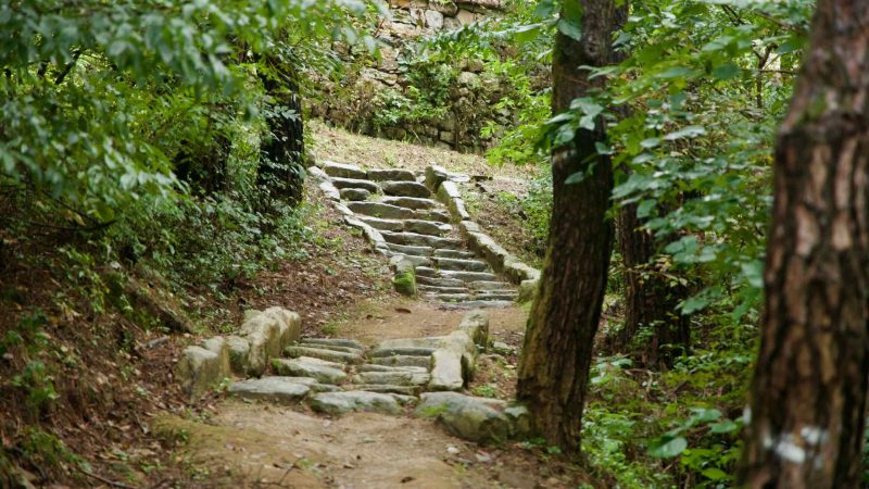 Rough stone stairs rise toward the perimeter wall of Gomo Mountain Fortress, threading through damp pines and undergrowth.