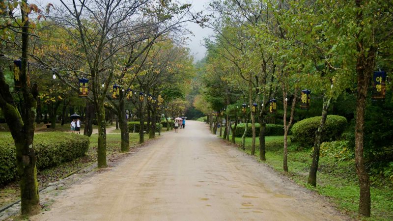 Lanterns hang along a straight park avenue at Mungyeong Saejae Provincial Park.