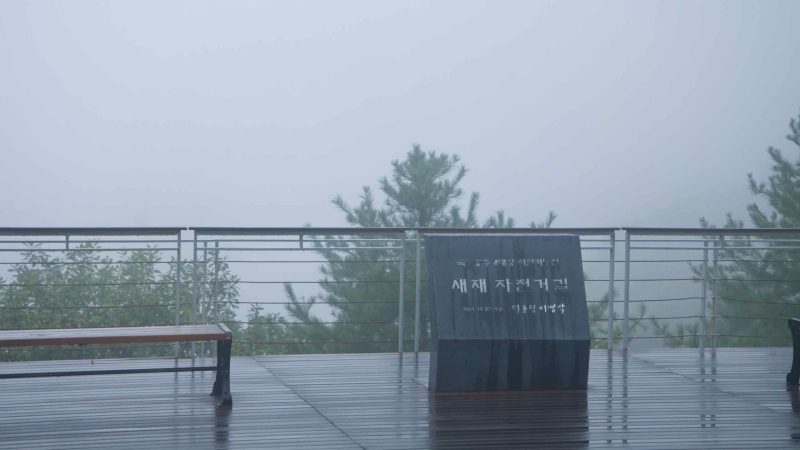 A low stone marker and wet deck sit in thick fog atop Ihwa Pass.