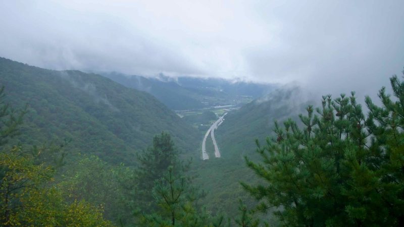 Misty valley views open from a pine-framed overlook near Ihwa Pass.