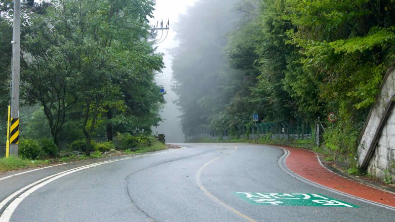A wet road with a bike symbol disappears into fog on the Ihwa Pass descent.