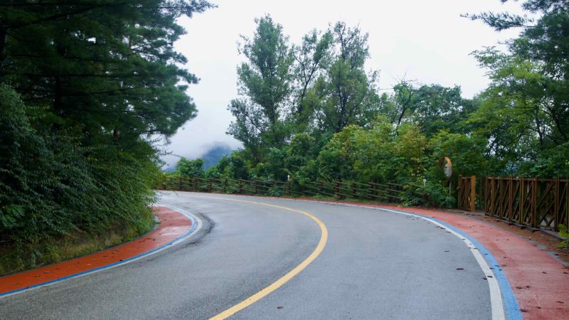 Exterior of the tiled‑roof Ihwaryeong Rest Area under pines after rain at Ihwa Pass.