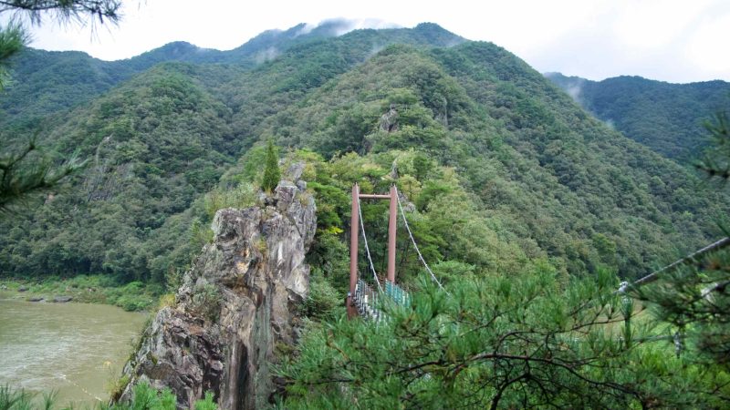 From a pine-framed lookout above the Dalcheon, the Sujupal Peaks Cloud Bridge runs toward a rock spire as mist lifts away.