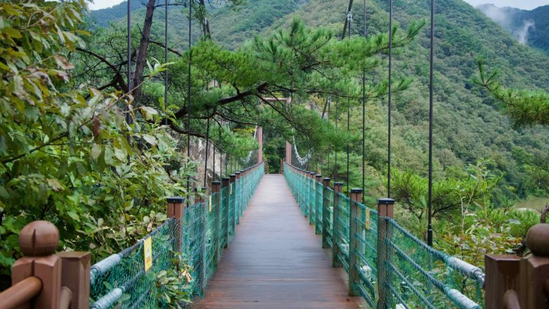 A straight view down the Sujupal Peaks suspension bridge shows its wood deck, mesh rails, and cable hangers to the far cliff.
