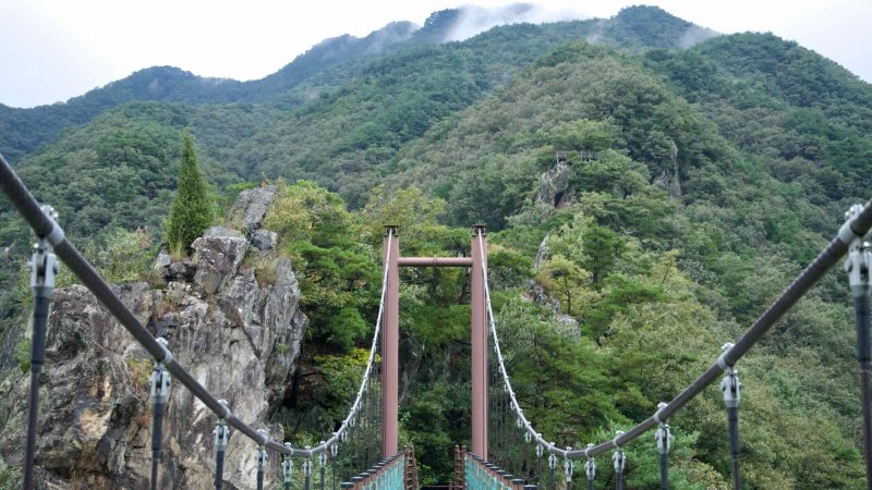 The Cloud Bridge’s tower and sagging suspension cables rise beside crags and pines, with misted ridgelines forming a backdrop.