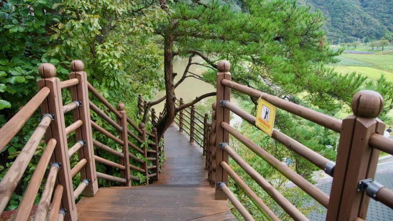 A wooden stairway with round-post railings descends a forested slope toward the riverside path, threading through pines and ferns.